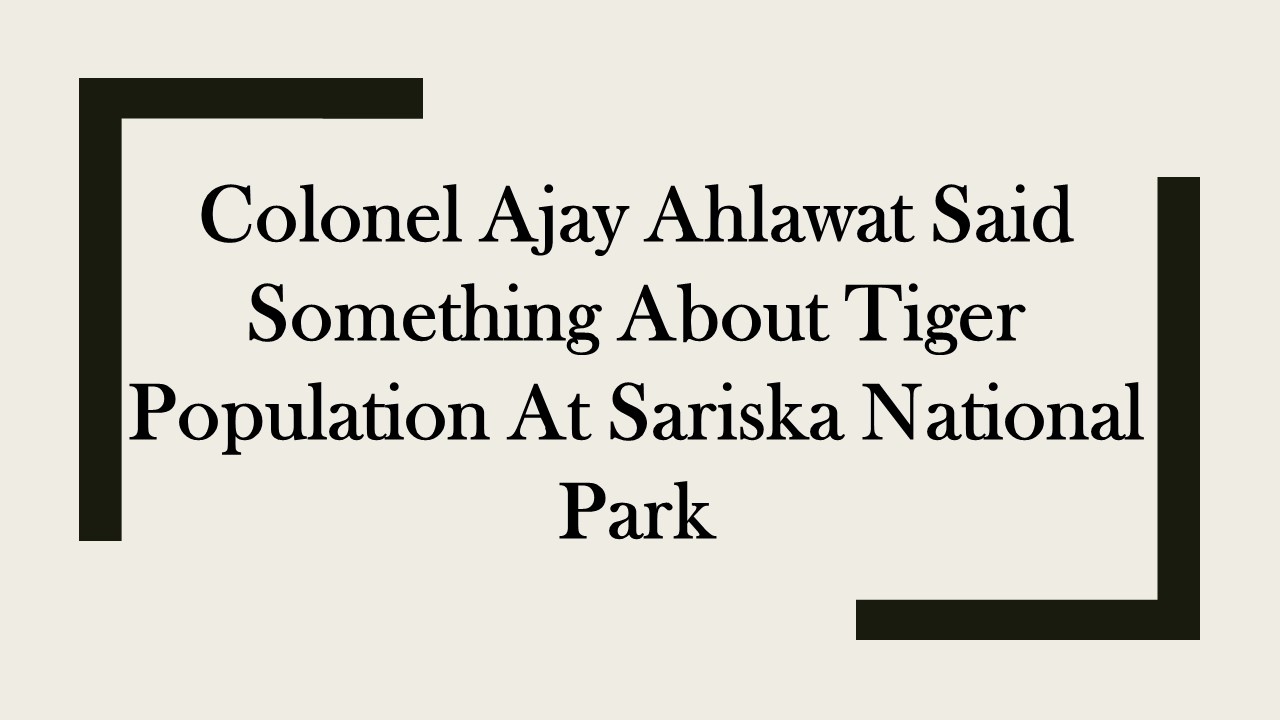 Colonel Ajay Ahlawat Said Something About Tiger Population