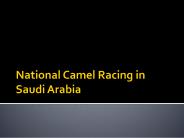 National Camel Racing in Saudi Arabia