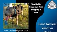 Best Tactical Vest For Dogs (1)