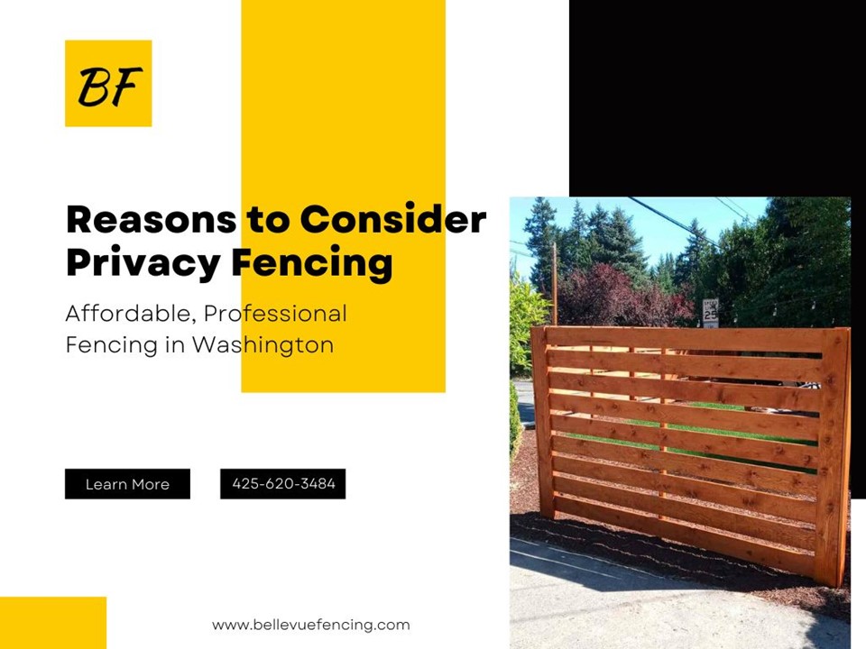 Privacy Fencing: Why Should You Consider It?