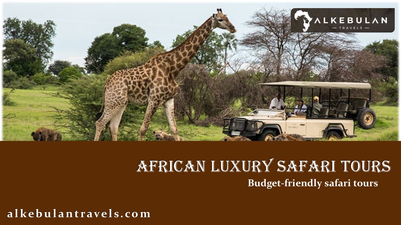 African Luxury Safari Tours