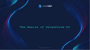 The Basics of Salesforce DX