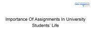 Importance Of Assignments In University Students’ Life