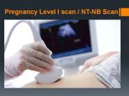 Pregnancy Level I scan / NT-NB Scan