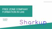 Free Zone Company Formation in UAE