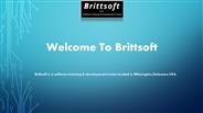 Python Training Online center USA at Brittsoft