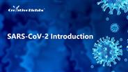 Drug Discovery Services for SARS-CoV-2