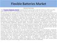 Flexible Batteries Market Report