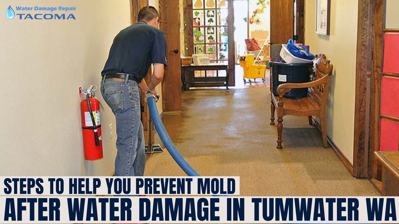 PPT Steps to Help You Prevent Mold After Water Damage Tumwater WA