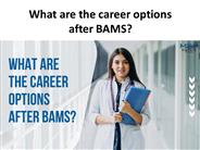 What are the career options after BAMS?