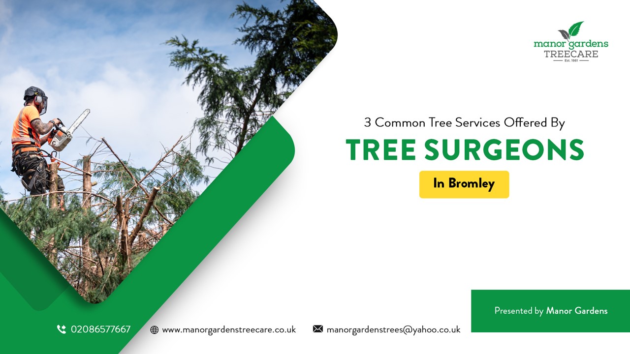 PPT 3 Common Tree Services Offered By Tree Surgeons In Bromley