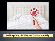 Bed Bug Control - Where to Contact and Why?