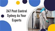 24/7 Pest Control Sydney