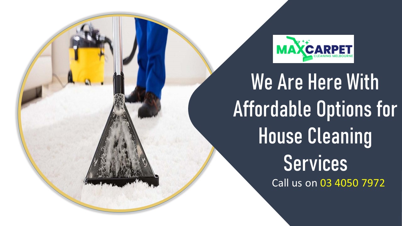 MAX Pest Control Sydney