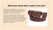 What Does Shark Skin Leather Feel Like?