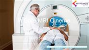 In Bore MRI Experience | Kryptonite Solutions