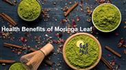 Healthy Moringa Leaf