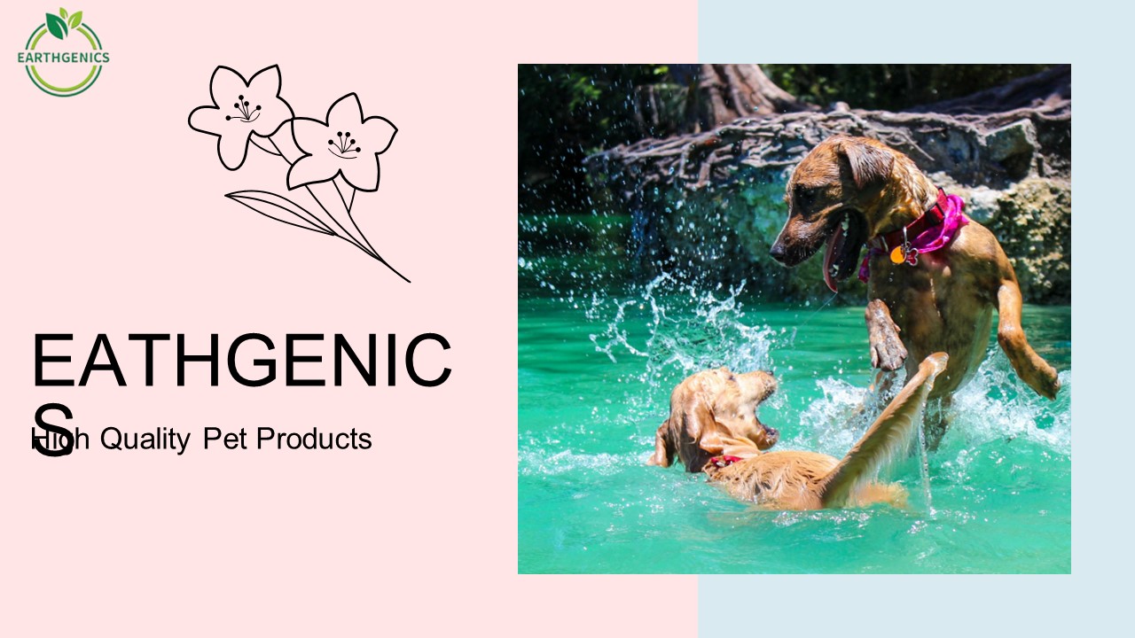 PPT HighQuality Pet Products from Earthgenics PowerPoint