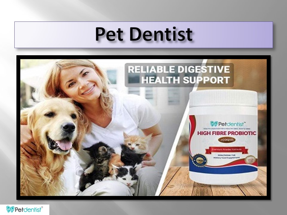 PPT Find The Dental Cleaning For Dogs Online PowerPoint presentation