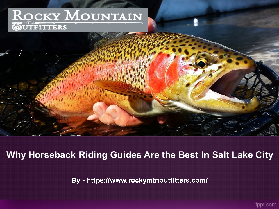 Why Horseback Riding Guides Are the Best In Salt Lake City​