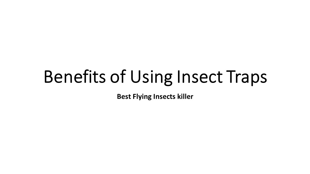 Benefits of Using Insect Traps