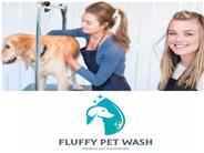 Dog groomer