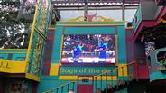 Digital Podium Suppliers Delhi In India