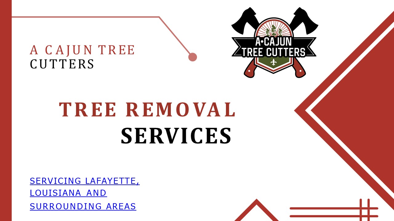 Tree Pruning (1)