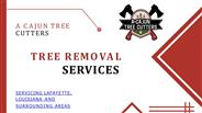 Tree Pruning (2)