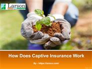 How Does Captive Insurance Work