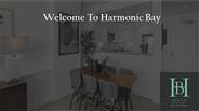 Harmonicbay (3)