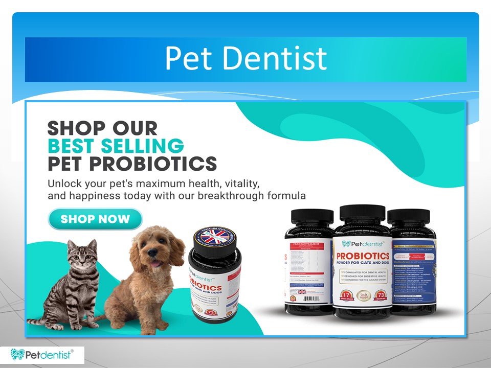 This Is the Best Dog Dental Care You Can Find Online