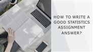 How To Write A Good Statistics Assignment Answer?