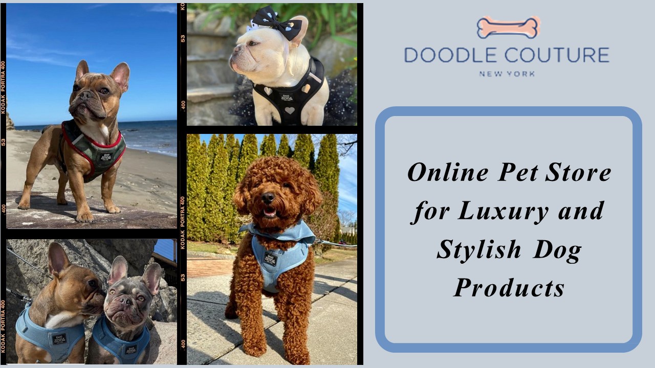 Online Pet Store for Luxury and Stylish Dog Products