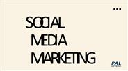 Social  Media Marketing with PAL Software