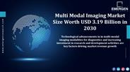 Multi Modal Imaging Market Size, Growth Strategies, Competitive Landscape, Factor Analysis, 2021–2030