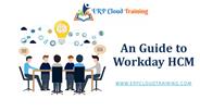 An Guide to Workday HCM