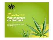 indian hemp product