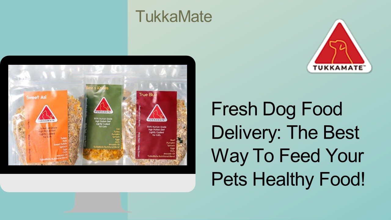 Food For Dog in Los Angeles | Tukkamate