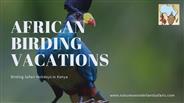 African Birding Vacations
