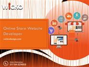 Online Store Website Developer
