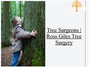 Tree Surgeons Dorchester Dorset