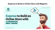 Expense to Build an Online Store with Magento