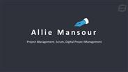 Allie Mansour - A Highly Collaborative Professional