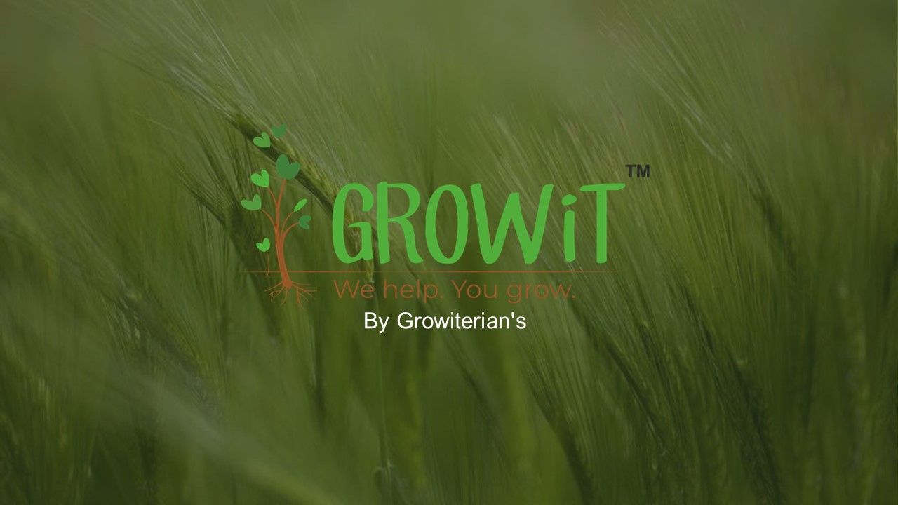Growit_india (1)
