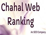 Website Ranking Services in India (1)