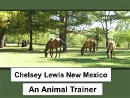 Chelsey Lewis New Mexico - An Animal Trainer