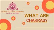WHAT ARE CHAKRAS?