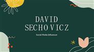 David Sechovicz - About Projects