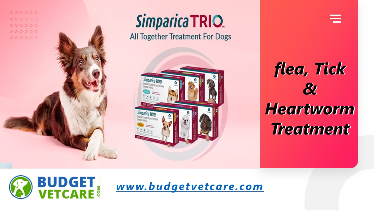 PPT Simparica Trio flea, Tick & Heartworm Treatment for Dogs
